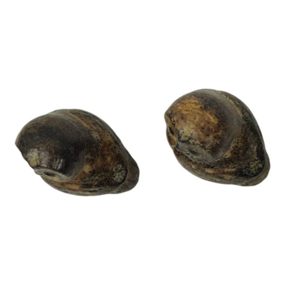 Napcoware Import Miniature Owls Vintage 60s Ceramic Speckled Stoneware Figurine - Picture 11 of 15